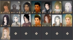 CONTA BDO VALK SUCC 5 PENS + T8 CORCEL 14FS + BARRACA - Black Desert