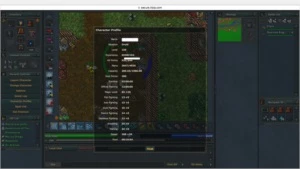 conta - Tibia