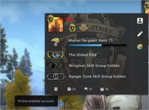CS:GO|GLOBAL|MEDALHA DE LEALDADE E SERVIÇO 2021|OVERWATCH - Counter Strike