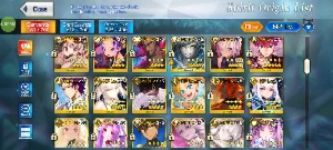 FGO NA - Endgame - 43 SSrs - Todos os SUP META - Outros