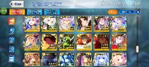 FGO NA - Endgame - 43 SSrs - Todos os SUP META - Outros