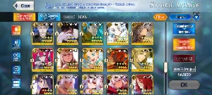 FGO NA - Endgame - 43 SSrs - Todos os SUP META - Outros