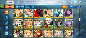 FGO NA - Endgame - 43 SSrs - Todos os SUP META - Outros