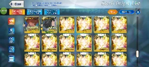 FGO NA - Endgame - 43 SSrs - Todos os SUP META - Outros