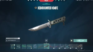 Conta De Valorant Varias Skins 1Mil Reais Gastos
