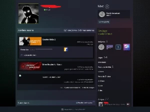 Conta Cs 2 - Prime - 5 Medalhas + Jogos