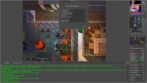 Heroserv Druid 260k HP 420k MP + Special Item - Tibia