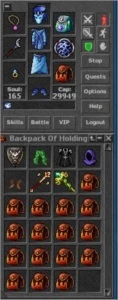Heroserv Druid 260k HP 420k MP + Special Item - Tibia