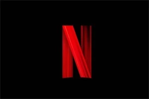 NEGFLIX 1 MÊS/RENOVÁVEL - Assinaturas e Premium