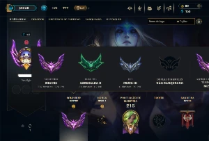 Conta mestre com 85 Champs e 27 Skins (226 PDLS)