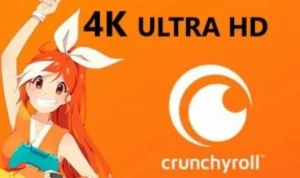 Crunchyroll 30 dias de acesso - Premium
