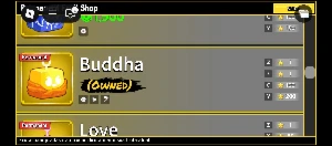 Conta com Budha e Leopard Perm - Roblox