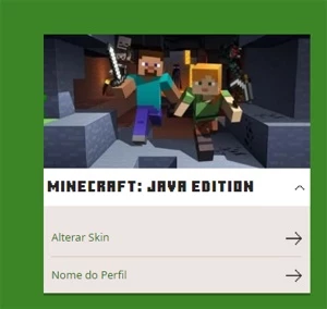 Minecraft Full Acesso Java Edition