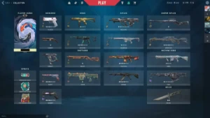 Conta Valorant lvl150~ (R$2900 Em historico)