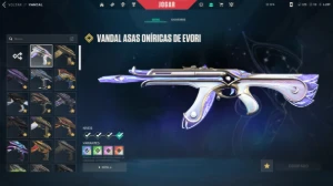 Conta Valorant pra sair rápido - +2.5k Gastos