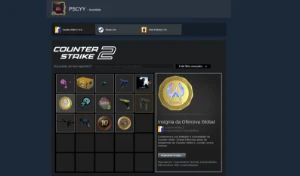 ✅Conta Antiga Steam 18/19 Anos 💥(Com Cs2 Prime)💥 - Counter Strike