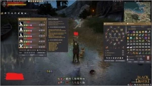 CONTA UNICO DONO MAEWAH LVL 62 607GS BS PEN - Black Desert