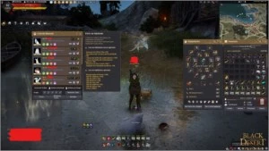 CONTA UNICO DONO MAEWAH LVL 62 607GS BS PEN - Black Desert