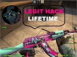 Legit Hack Cs Go - Lifetime - 15/07/19 - Counter Strike