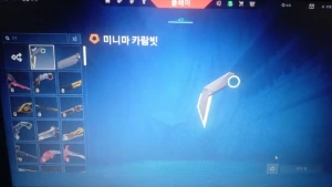 Conta com karambit mínima e roseiral ouro 1 FA - Valorant