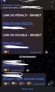 Grupo Com 400 Link De Robo De Todas Casas De Aposta✅ - Outros