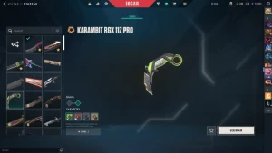 Conta valorant Level 270 mais skins