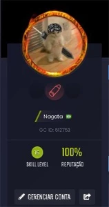 Conta CS:GO - Xerife - Com 51 jogos e skins e lvl15 GC - Counter Strike