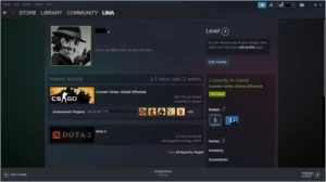 CS:GO PRIME | 1 MEDALHA | ÁGUIA 2 | LV 4 STEAM - Counter Strike