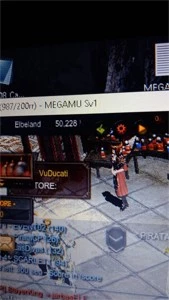 Megamu Elfa 200rr 980 Item quest C/ 100k mc - MU Online