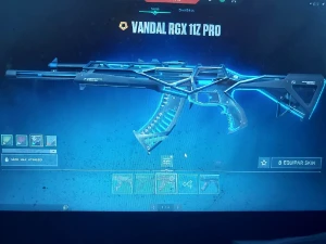 Conta valorant com skins para todas as armas