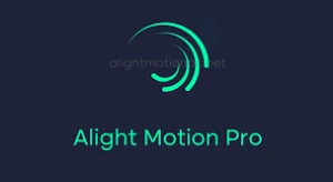 Alight Motion Pro 1 Ano - Conta / 30 Dias De Garantia! - Assinaturas e Premium