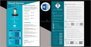 Pack 29 modelos de Curriculo - Outros
