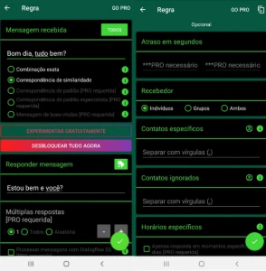 ChatBot - 2025 + Bônus - Outros