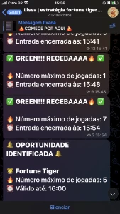 Liss /Tiger Fortune 100% Acertividade🐯🏆01 Do Mercado - Outros