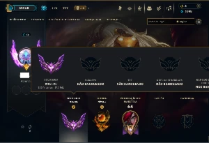 Mestre com 55 Champs e 14 Skins ( 172 PDL )
