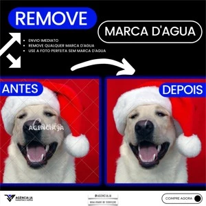 Vou remover marca d'agua de qualquer imagem - Serviços Digitais