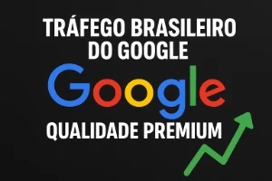 Trafego Para Site Brasileiro Do Google - Outros