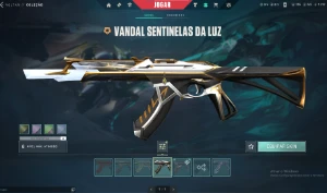 Conta Radiant desdo Beta, 3k gasto em skins e em passes ! - Valorant