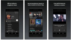 Youtube music premiun vitalício - Assinaturas e Premium