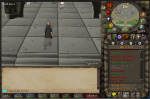 Pure Osrs 75 atk - Runescape