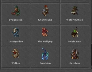 Elder Druid 408 - Gentebra - Tibia