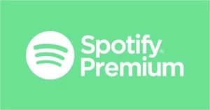 Spotify Premium (1 mês+garantia) - Assinaturas e Premium