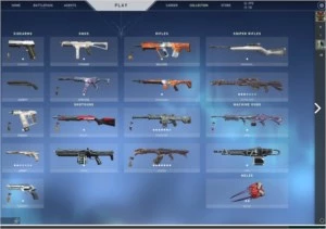 Conta Valorant, Ato 1 e 2 Diamante com varias skins