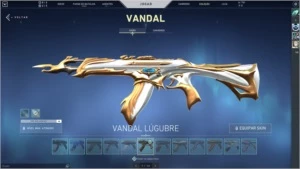 CONTA VALORANT - 3200 Reais gastos , platina 2 .