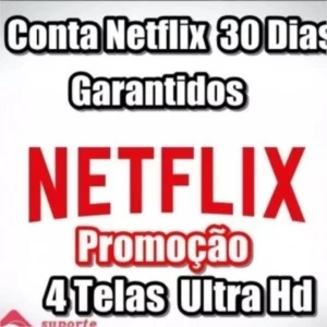 NETFLIX 30 DIAS 5 TELAS 4K - Assinaturas e Premium
