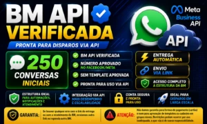 BM API Verificada | 250 Conversas Iniciais | Entrega Automát - Redes Sociais