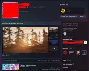 Conta Steam 708 jogos lvl 60 SEM NENHUM BANIMENTO + Brindes
