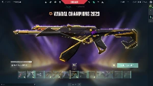 Conta valorant/lol muitas skins