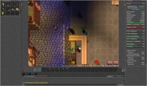 CHAR TIBIA GLOBAL LEVEL 96 LOBERA