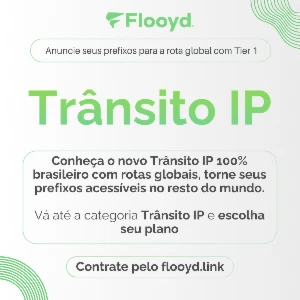 🌐 Trânsito Ip Profissional - Conectividade Premium - Others